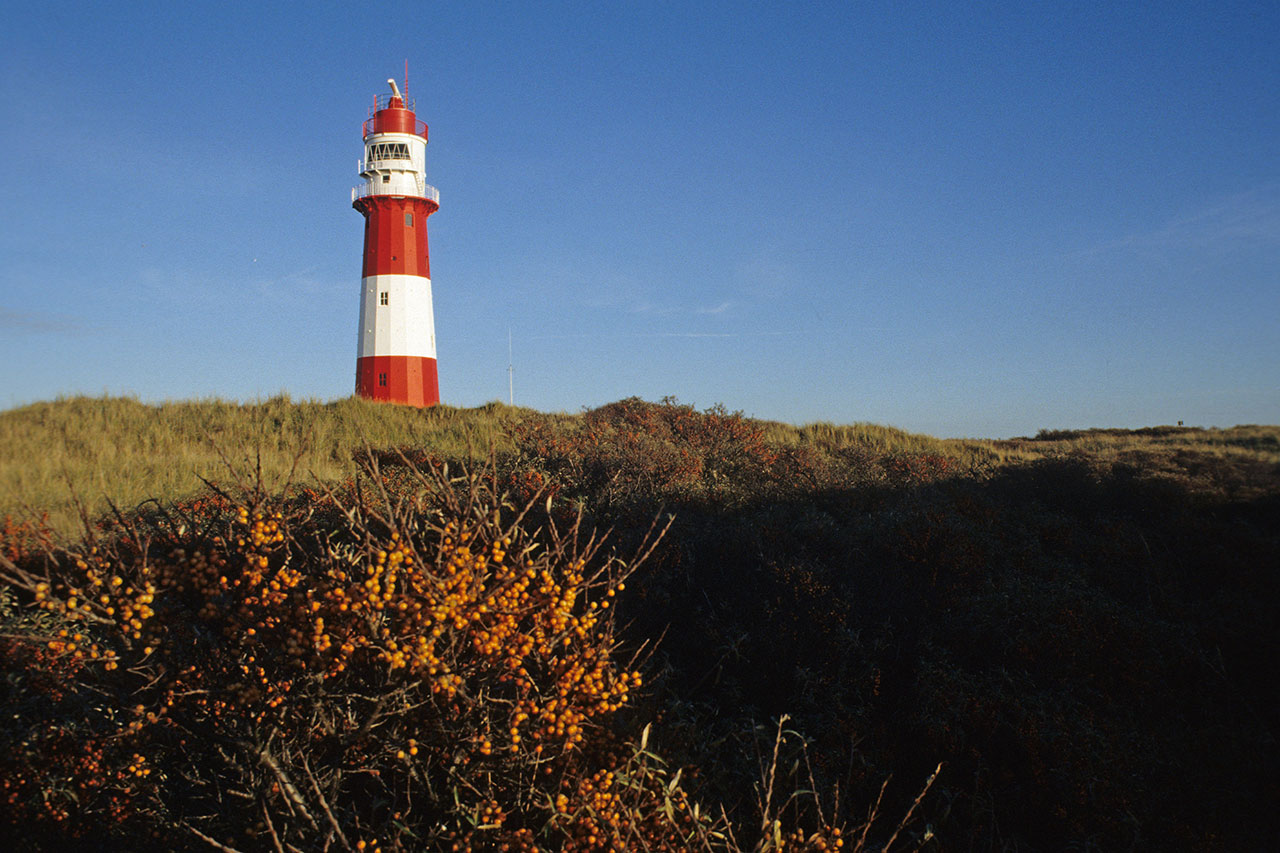 leuchtturm-cc.jpg